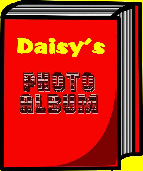 Do you want to see my photos