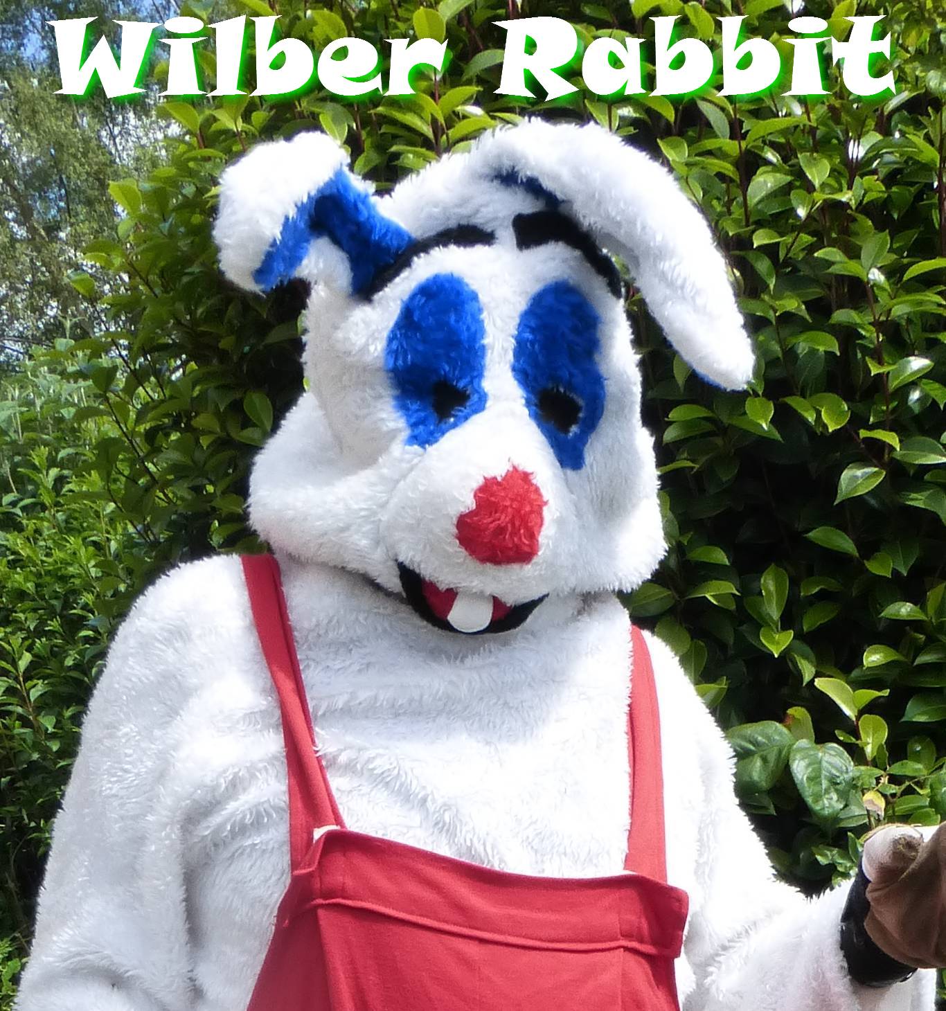 Wilber Wabbit